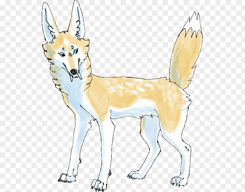 Underdog Day Czechoslovakian Wolfdog Dingo Dog Breed Red Fox PNG