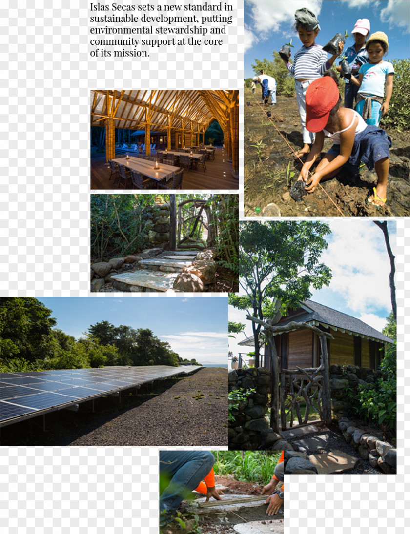 Water-sprinkling Festival Water Resources Leisure Roof Vacation Tree PNG