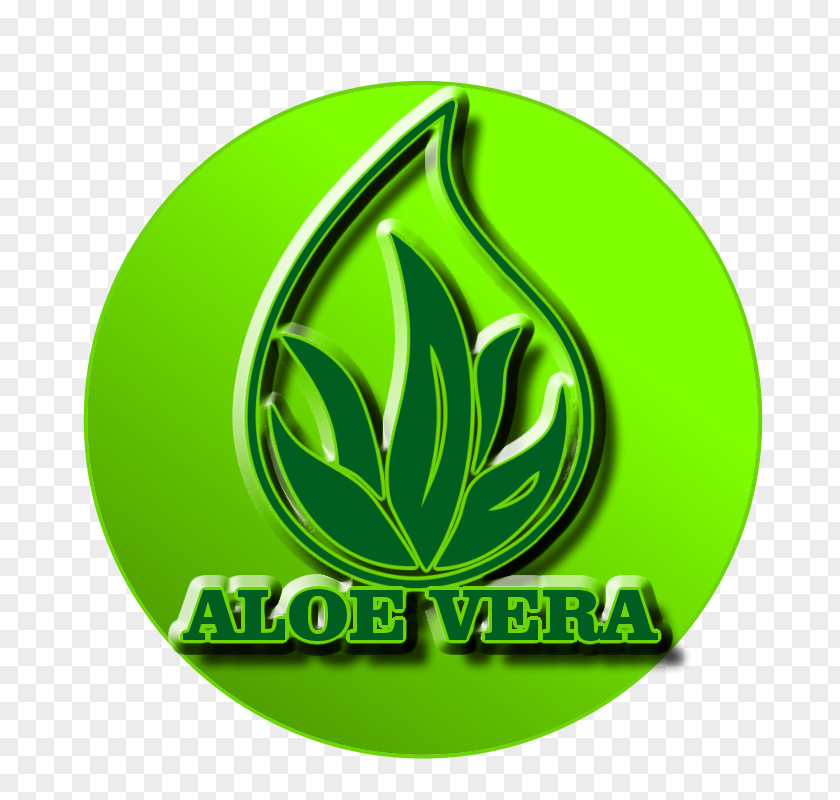 Aloe Vera Logo Leaf Brand Circle Font PNG