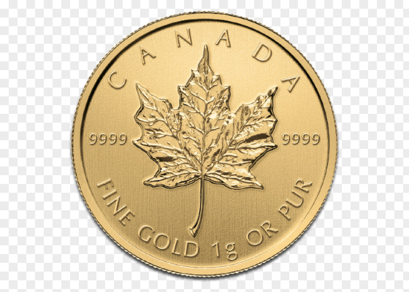 Canada Canadian Gold Maple Leaf Coin PNG