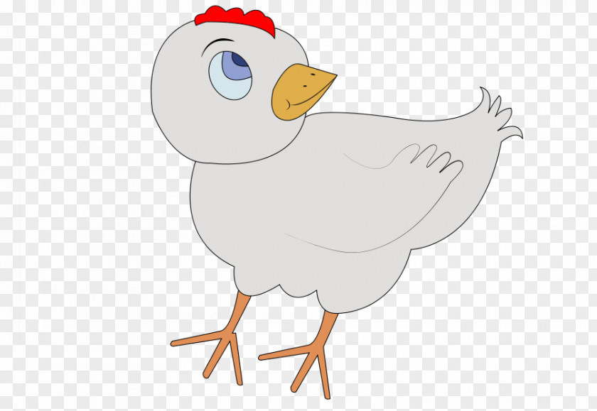 Chicken Vector Drawing Clip Art PNG