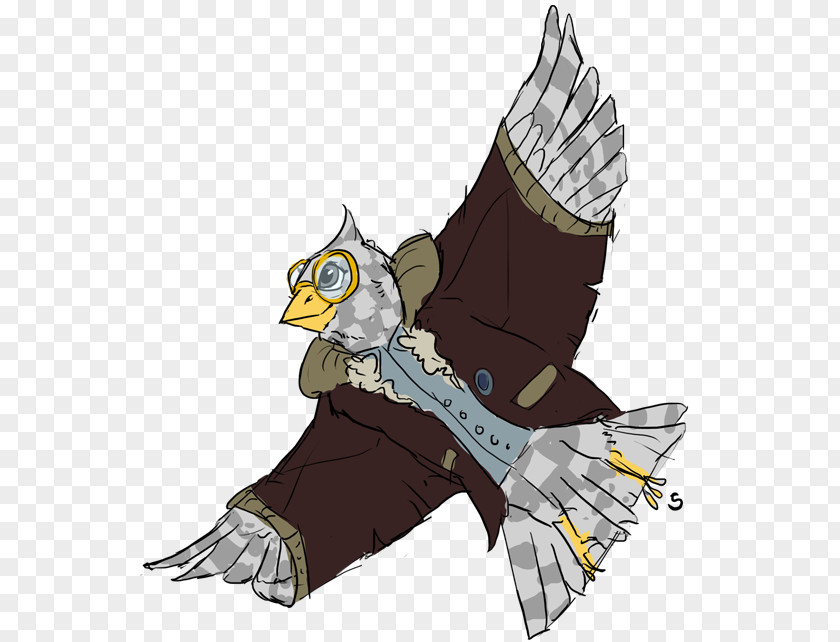 Owl Beak Eagle Cartoon PNG