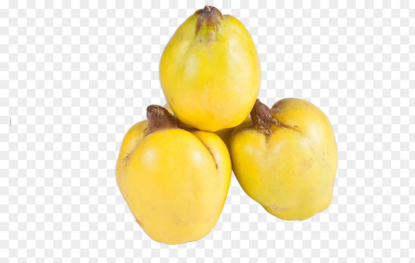 Papaya Fruit Bohm Quince Pome Tree Auglis PNG