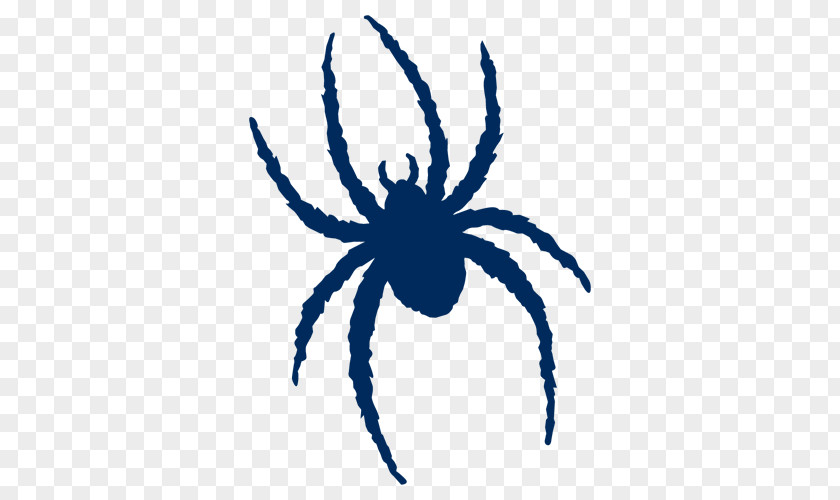 Student Robins Center Richmond Spiders Football Men's Basketball Baseball UR Spider Shop And University Bookstore PNG