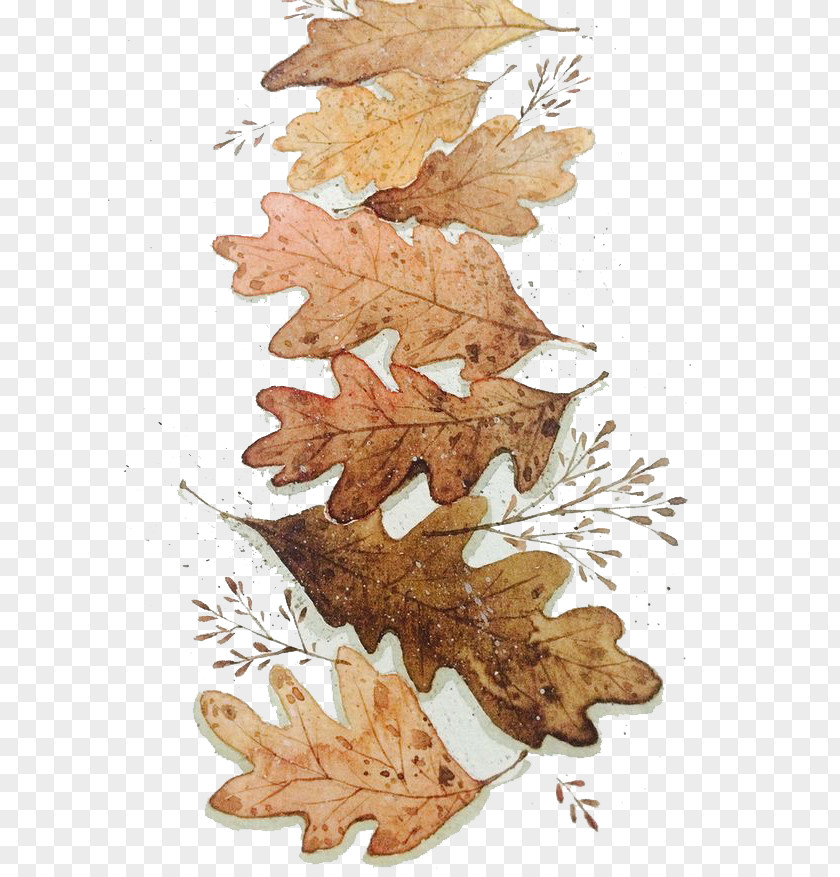 Autumn Leaves Watercolor Painting Illustration PNG