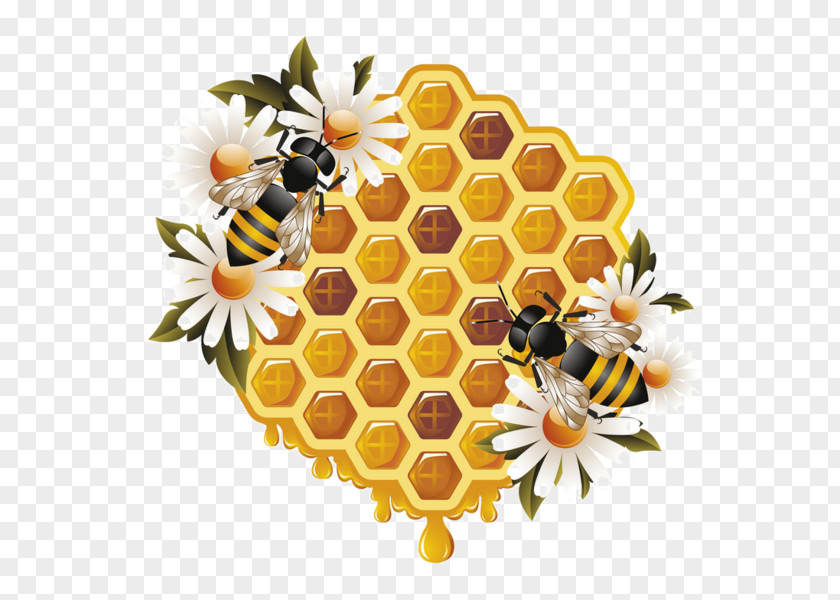 Honey Bee Hive Template Download Worker Beehive PNG
