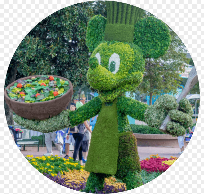 Mickey Mouse Epcot International Flower & Garden Festival Disney's Animal Kingdom PNG