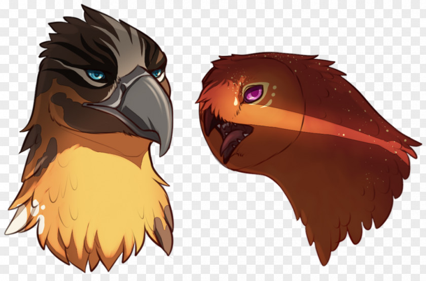 Misty Rain Owl Character Cartoon Beak PNG