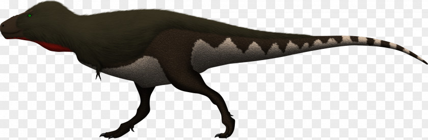 T Rex Tyrannosaurus Giganotosaurus Andesaurus Spinosaurus Nanotyrannus PNG
