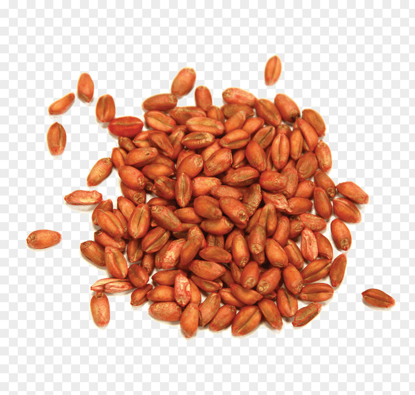 Wheat Seeds Peanut Commodity PNG