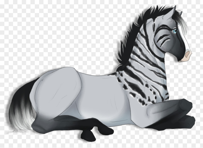 Zebra Quagga Wildlife PNG