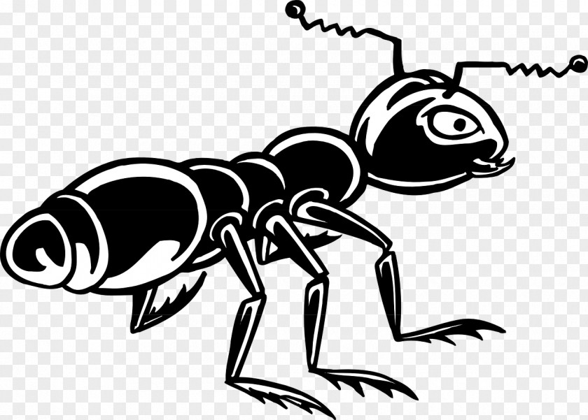 Ants Black Garden Ant Insect Clip Art PNG