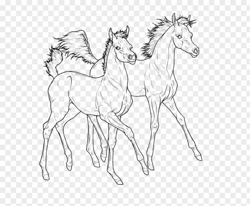 Arab Dress Foal Line Art Colt Arabian Horse Pony PNG