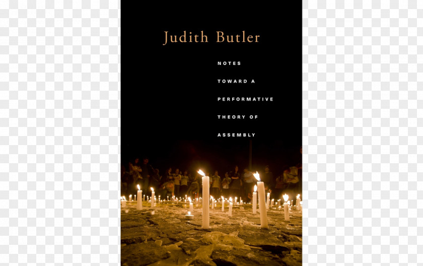 Book Notes Toward A Performative Theory Of Assembly Performativity Literary Psychopolitics: Neoliberalism And New Technologies Power Gaby Brimmer PNG