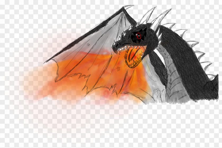 Fire Breathing Dragon Drawing /m/02csf PNG
