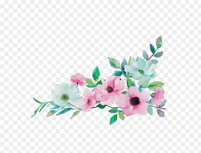 Flower Branch Plant Pink Cut Flowers PNG