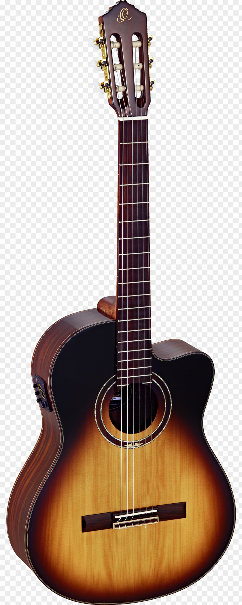 Amancio Ortega Twelve-string Guitar Classical Steel-string Acoustic PNG