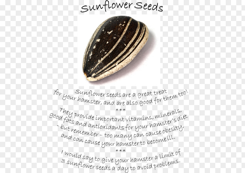 Jewellery Sunflower Seed Sunflowers Font PNG