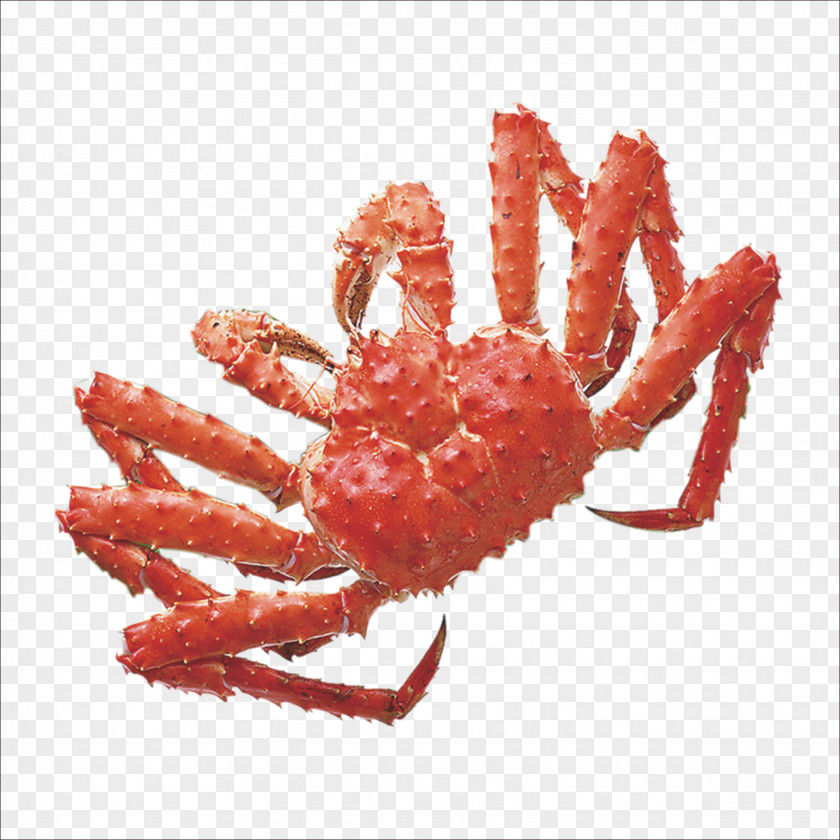 Red King Crab Yangcheng Lake PNG king crab Lake, clipart PNG