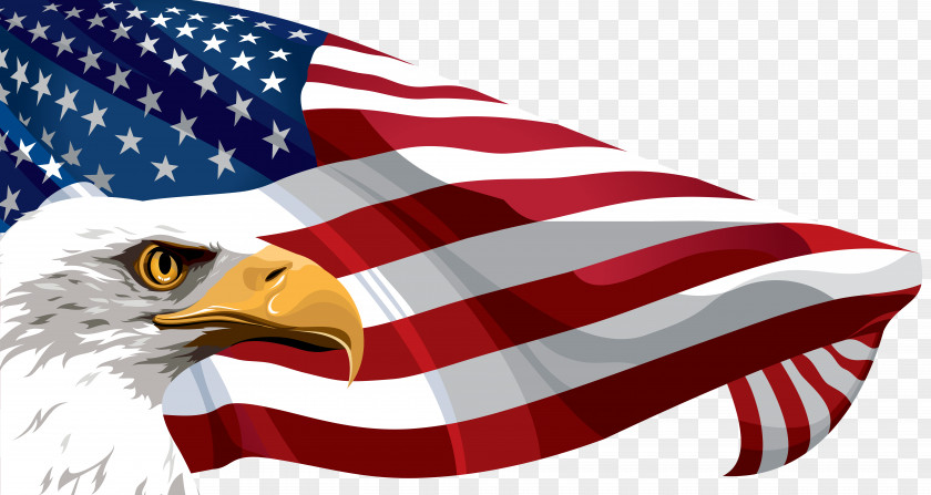 American Flag And Eagle Transparent Clip Art Image Of The United States PNG