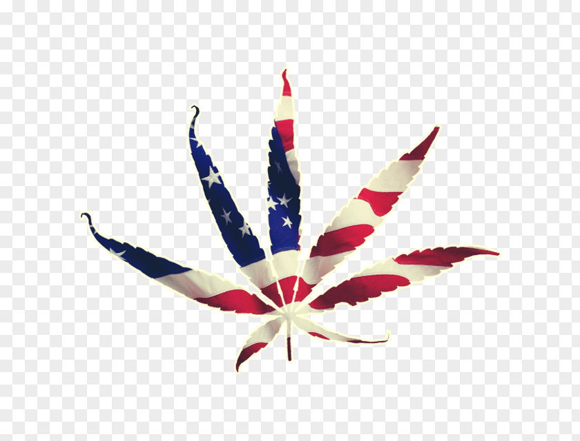 American Cannabis Flag Of The United States Leaf PNG