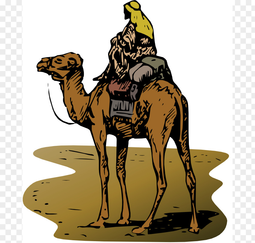 Camel Images Student Central Asia Silk Road Trade Worksheet PNG