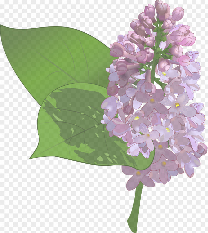 Cut Flowers Lavender PNG