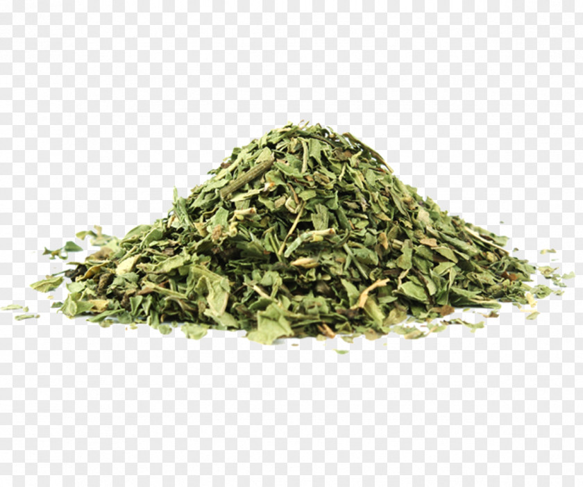 Pepermint Peppermint Mentha Canadensis Spicata Dried Fruit Herb PNG