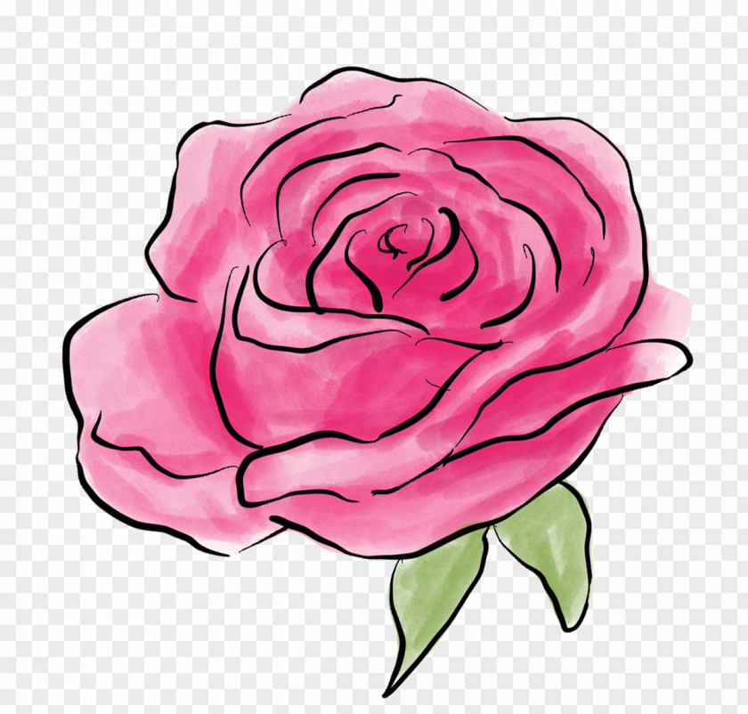 Flower Garden Roses Clip Art Cabbage Rose Illustration Drawing PNG