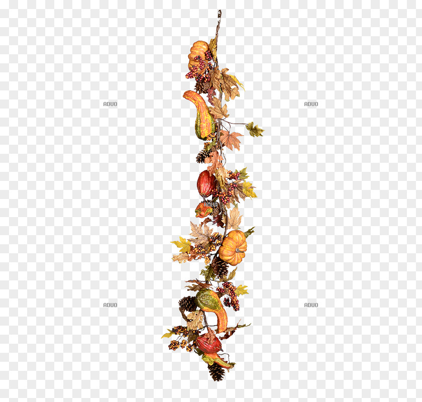 Garland Autumn Spring Cucurbita Christmas PNG