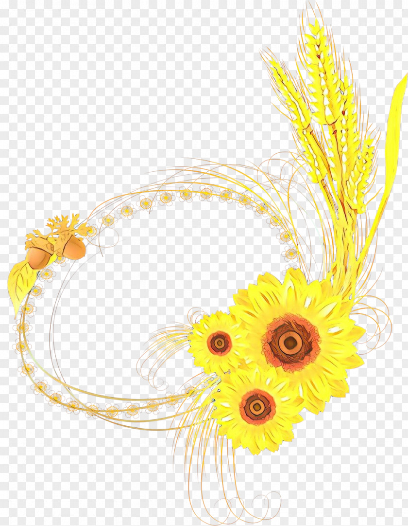 Gerbera Mayweed Flowers Background PNG