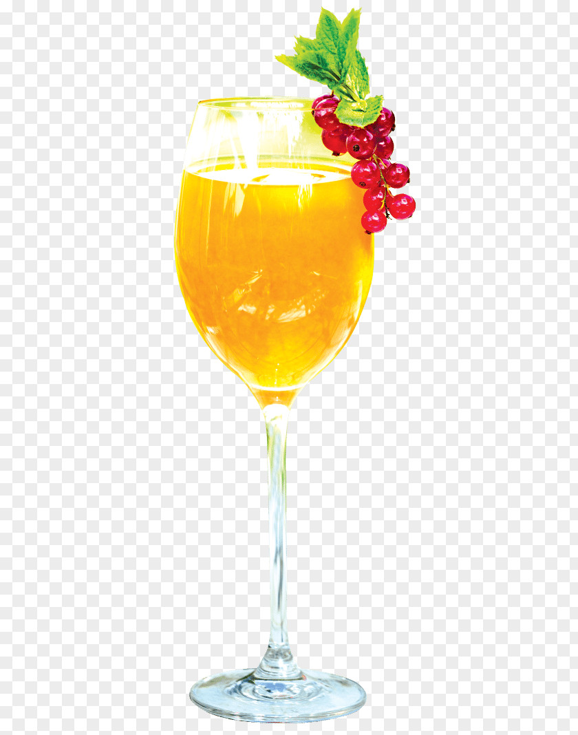 Island Drinks Cocktail Garnish Harvey Wallbanger Mai Tai Wine PNG