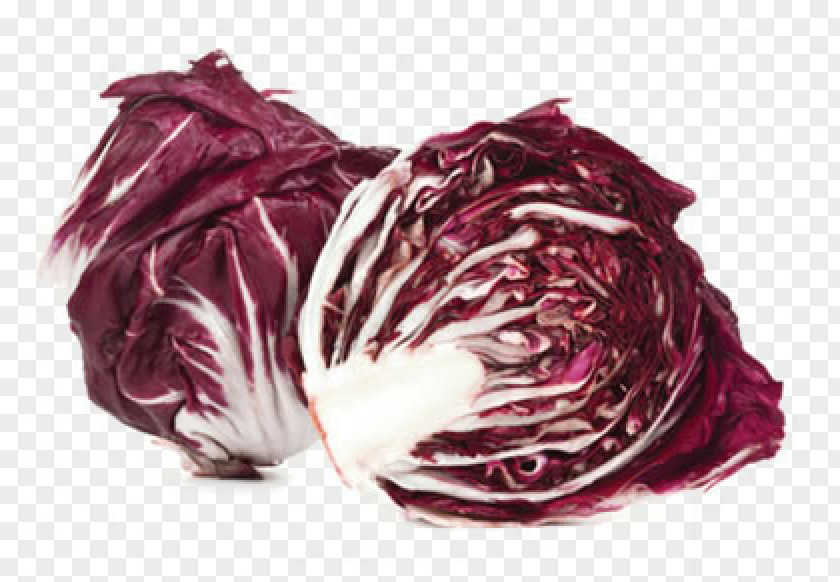 Radicchio Endive Greens Salad Cabbage PNG