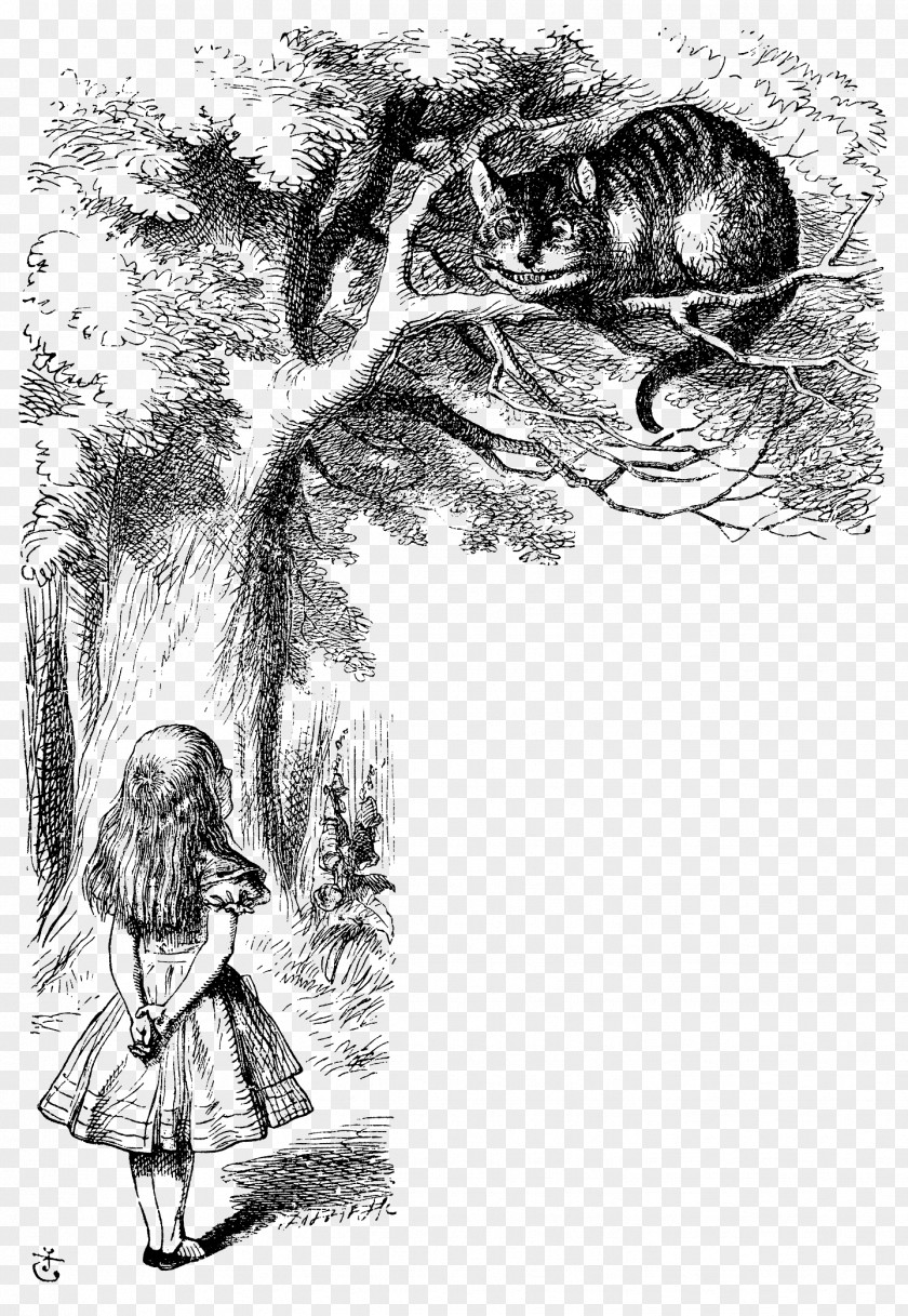 Alice In Wonderland Alice's Adventures Cheshire Cat The Mad Hatter White Rabbit Through Looking-Glass, And What Found There PNG