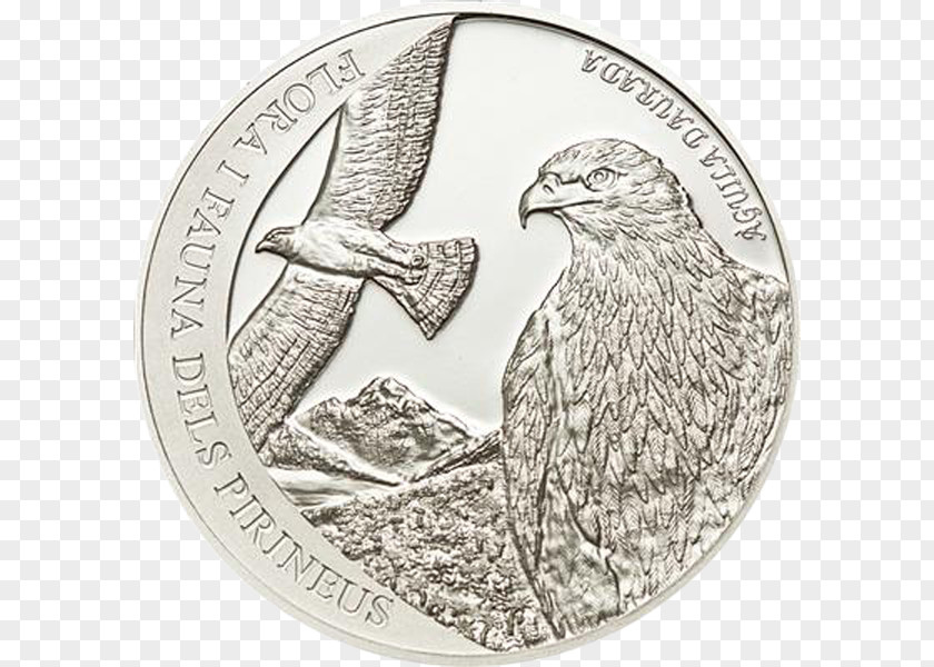 Coin Proof Coinage Numismatics American Silver Eagle Uncirculated PNG
