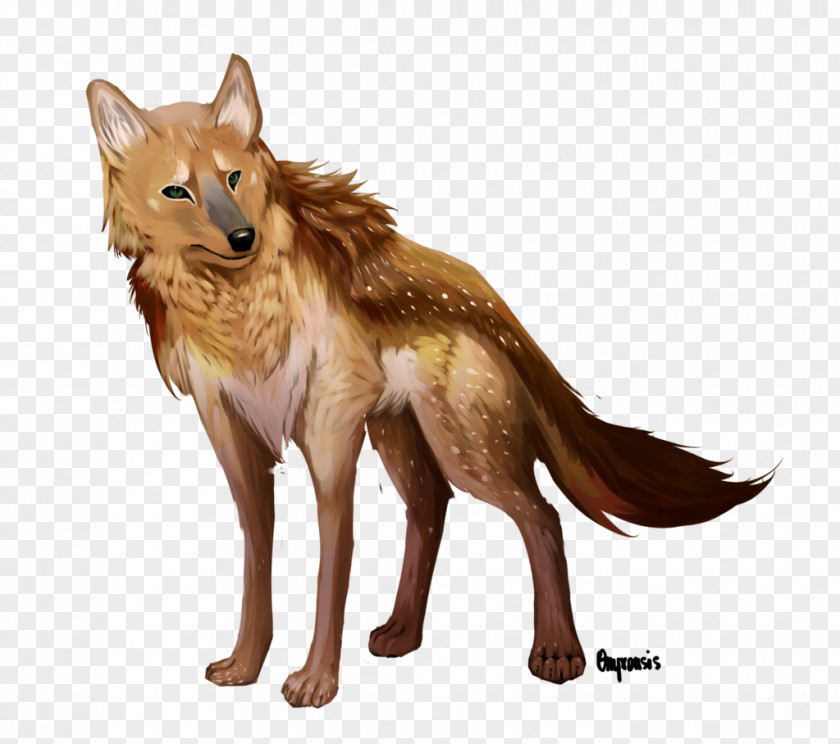 Fawn Coyote Dog Dhole Red Fox PNG