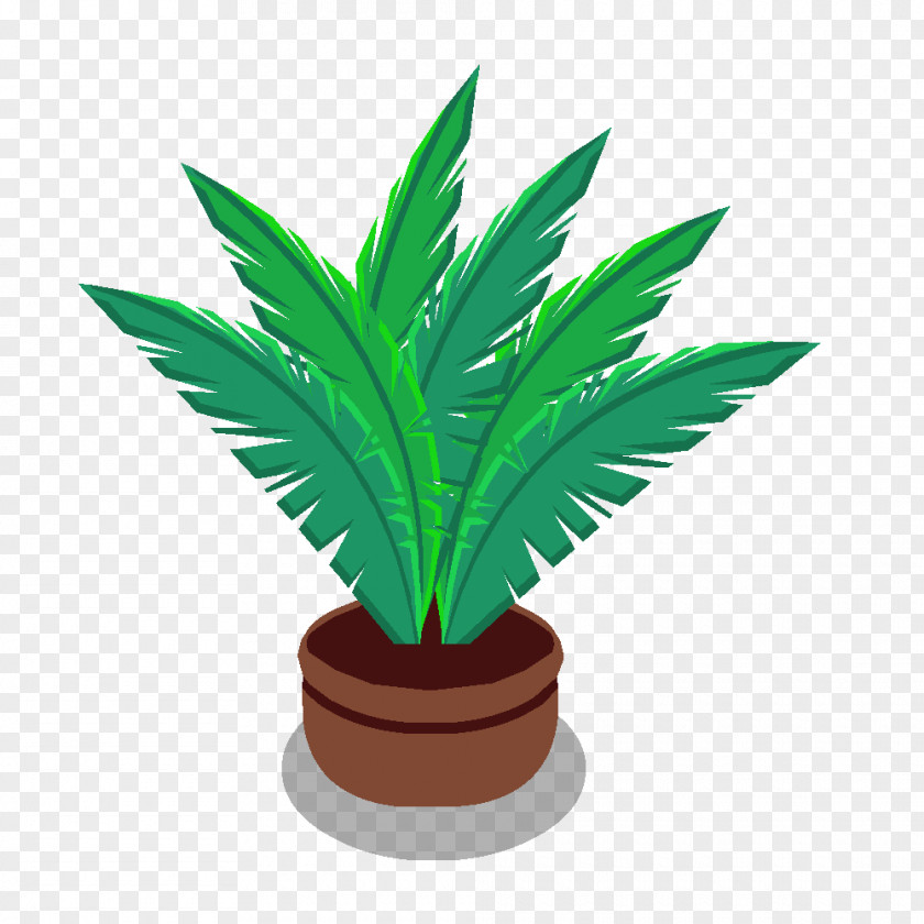 Plant Arecaceae Houseplant Flowerpot PNG