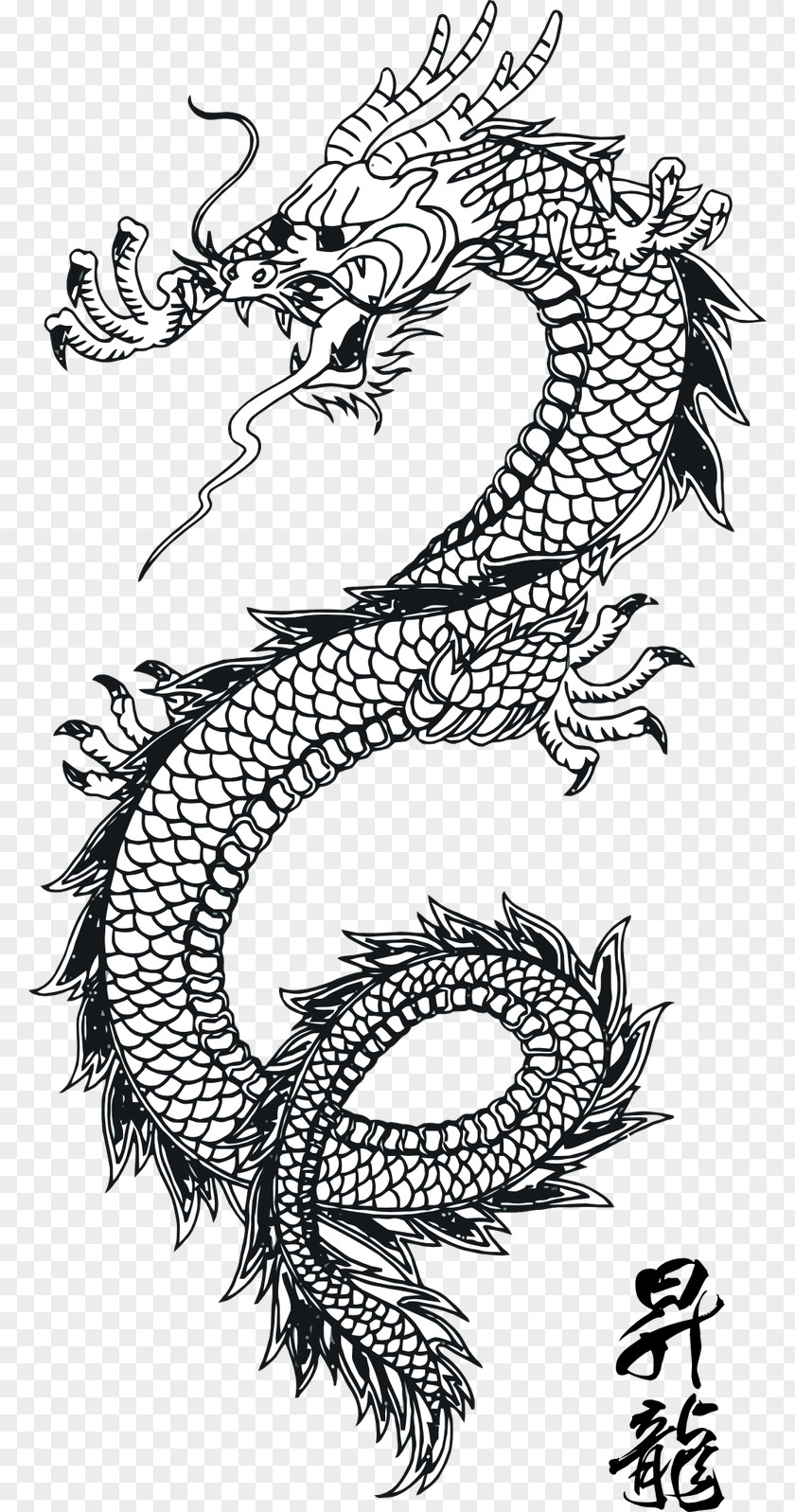 Tatoo Design Wall Decal Chinese Dragon Sticker PNG