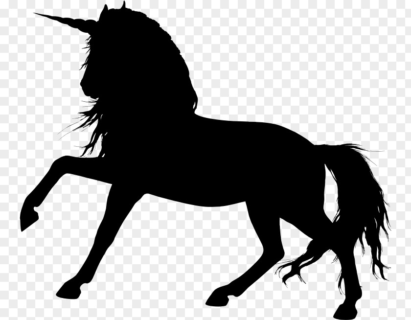 Animal Silhouettes Arabian Horse Colt Foal Clip Art PNG