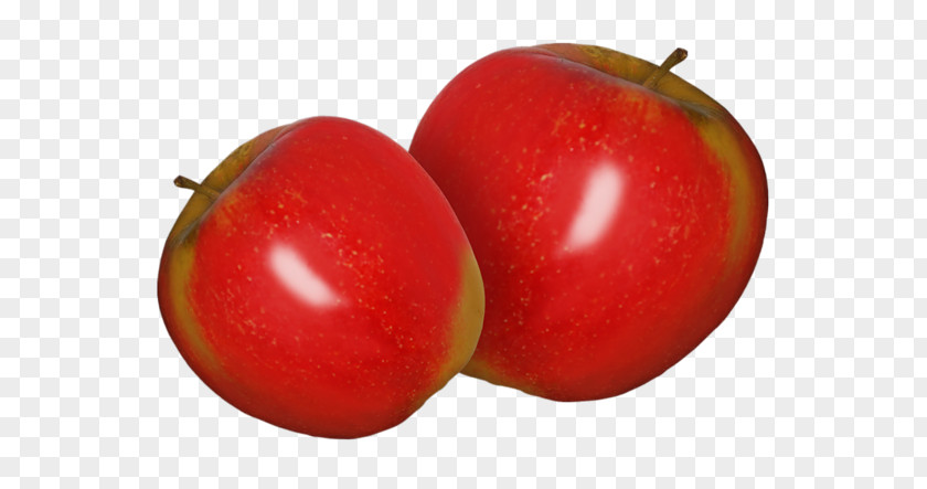 Apple Plum Tomato Macintosh Fruit Clip Art PNG