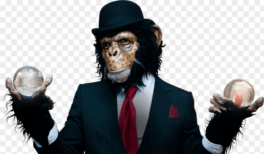Chimpanzee Party Corporate Entertainment Search Engine Optimization Company PNG