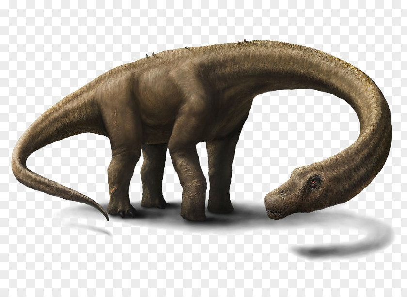 Dinosaur Dreadnoughtus Size Tyrannosaurus World's Largest PNG