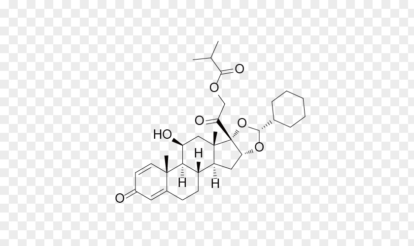 Gamma Globulin Betamethasone Steroid Medroxyprogesterone Budesonide Beclometasone Dipropionate PNG