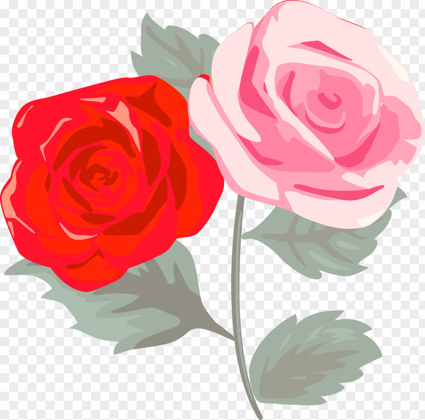 Garden Roses PNG