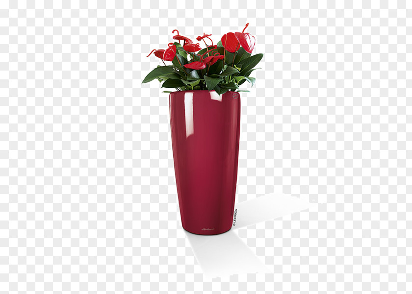 Lechuza Flowerpot Rondo Premium 40 Complete Kit Very Bright Flower Pot 32 Cachepot Box PNG