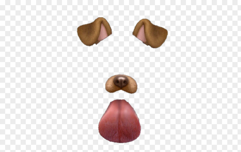 Snapchat Dancing Hot Dog Puppy Kitten PNG