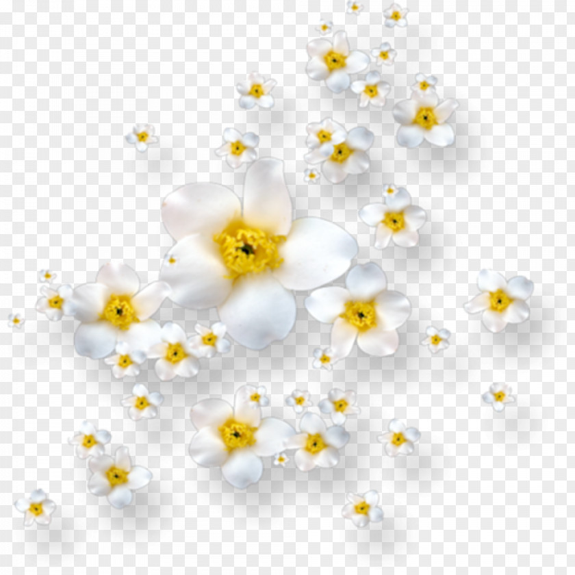 Flower Image Clip Art PNG