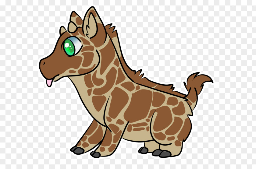 Horse Cat Giraffids Mammal Terrestrial Animal PNG