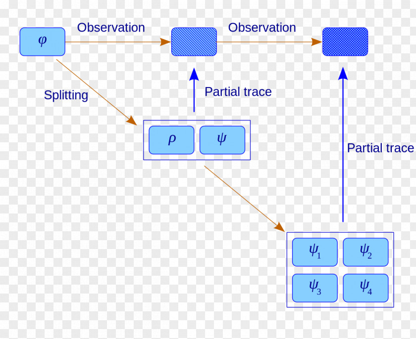 Many Podcast Pauli Exclusion Principle Schrödinger's Cat ITunes Quantum Mechanics PNG