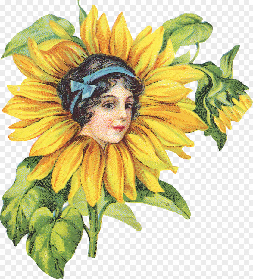 Painting Common Sunflower Drawing Decoupage Clip Art PNG